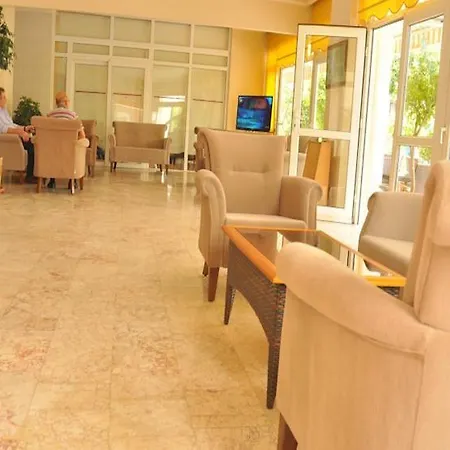 Lonicera Alanya