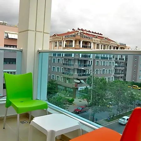 Lonicera Alanya