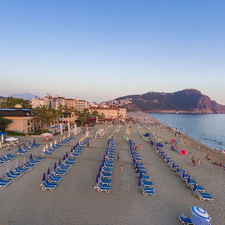 لونيسيرا سيتي ألانيا